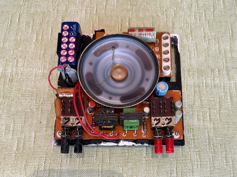 Türklingel mit Vogelgezwitscher